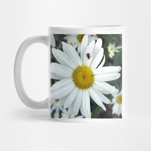 White Daisy Flower and Ladybug Mug